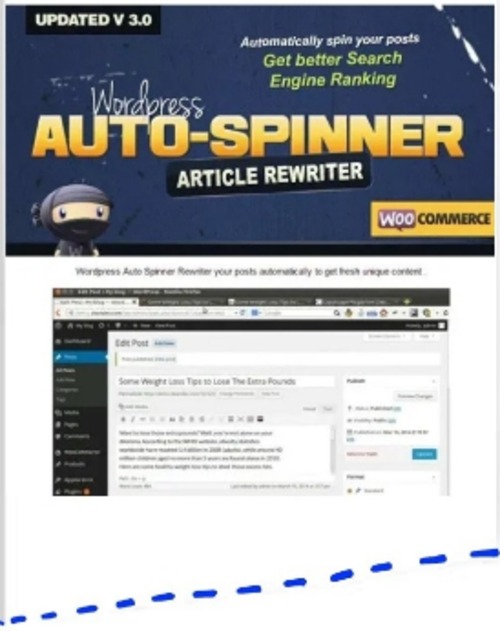 Product picture WordPress Auto Spinner Articles Rewriter